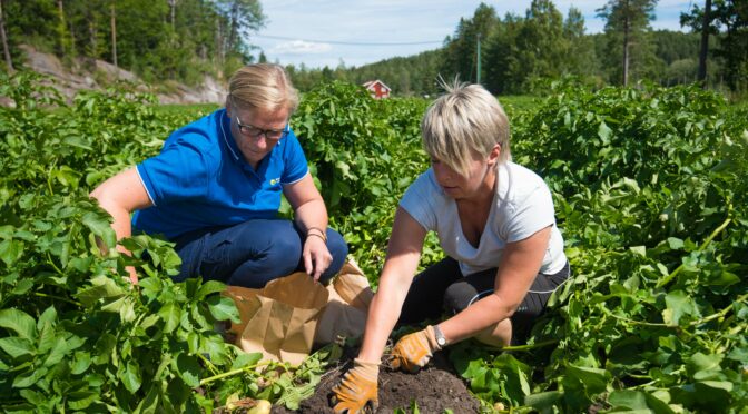 Videokonkurranse: forklare landbruk og dets mangfold gjennom Europa