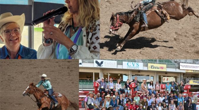 Collage med rodeo og mennesker.